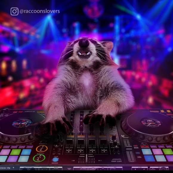 Meet your Posher, Colin - Picture 1 of 1